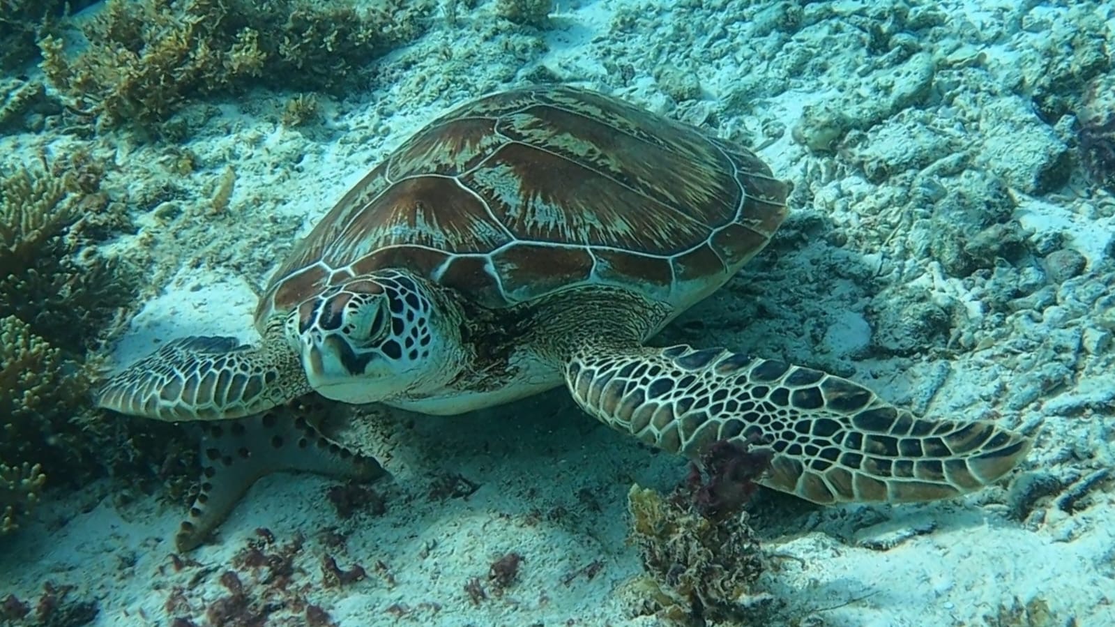 Filipiny różne (1).jpeg